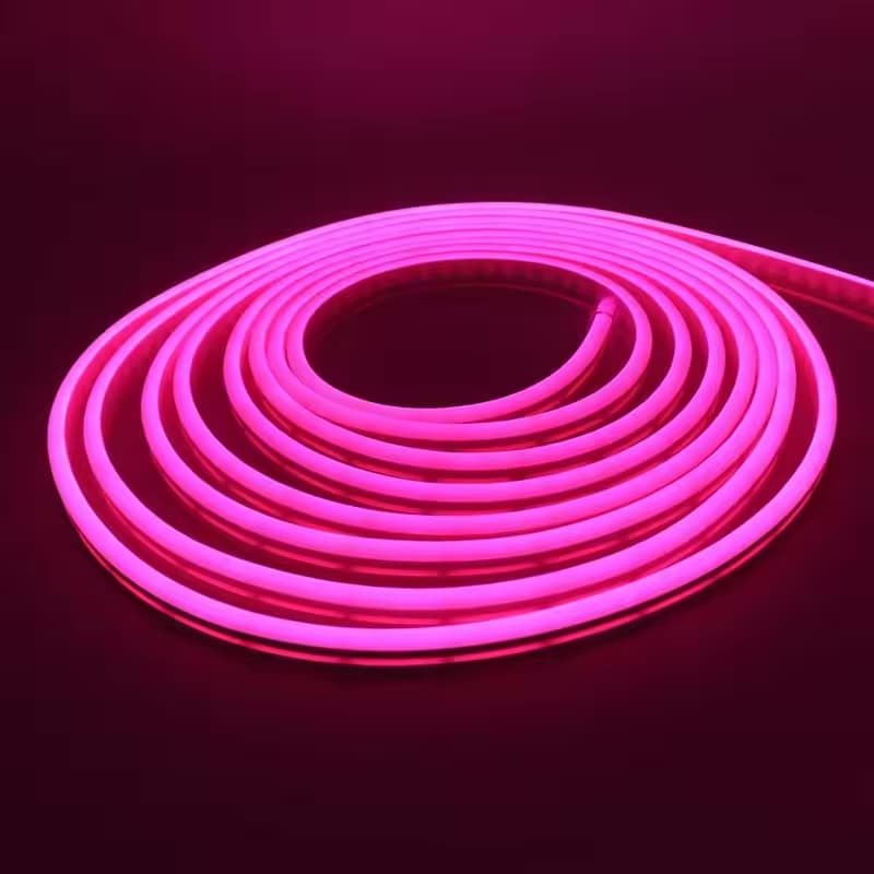 5m pink neon strip coiled and glowing